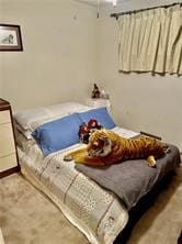 3223 Mayflower Dr, Whitehall, PA 15227 - view of bedroom
