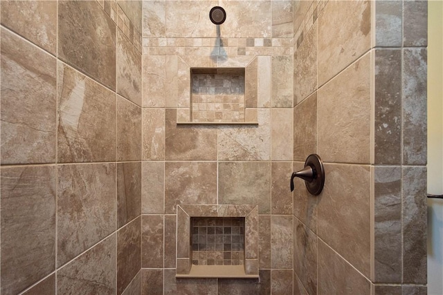 517 Altmyer Fields Ln, Marshall, PA 15090 - bathroom view of a tile shower
