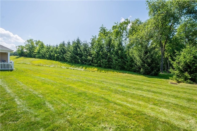 517 Altmyer Fields Ln, Marshall, PA 15090 - view of green lawn