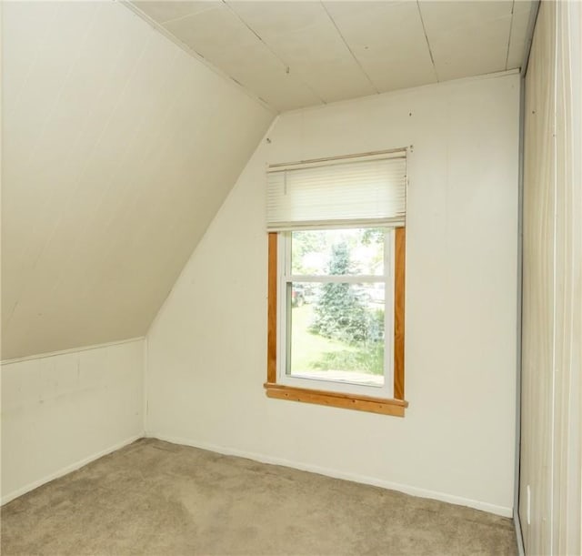 133 2nd, St, PA 15961 - bonus room featuring light carpet and lofted ceiling