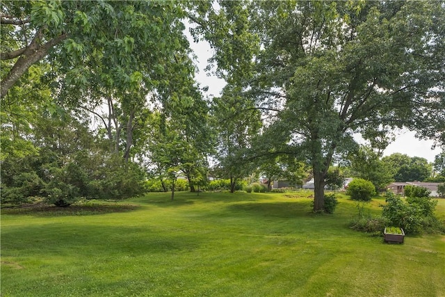 391 Wendel Rd, Pa, PA 15642 - view of grassy yard