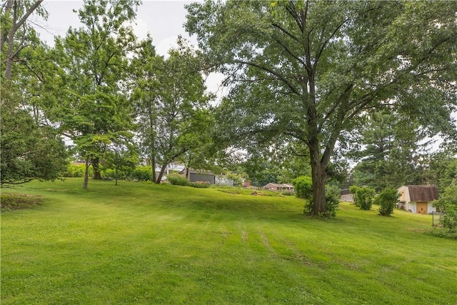 391 Wendel Rd, Pa, PA 15642 - view of green lawn