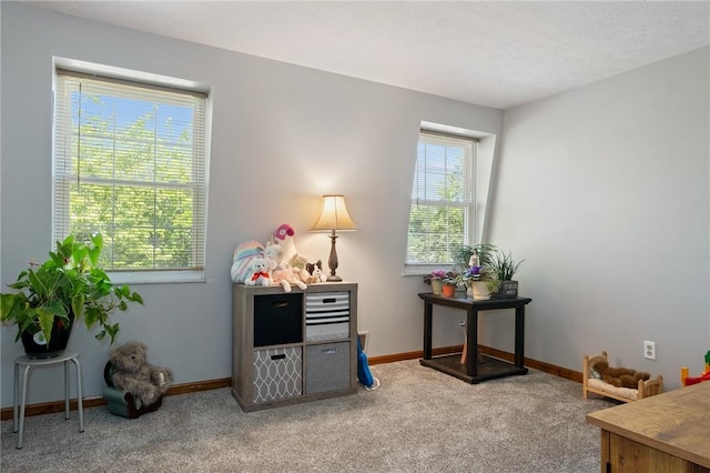3530 Woodlake Dr, West Deer, PA 15101 - photo 26