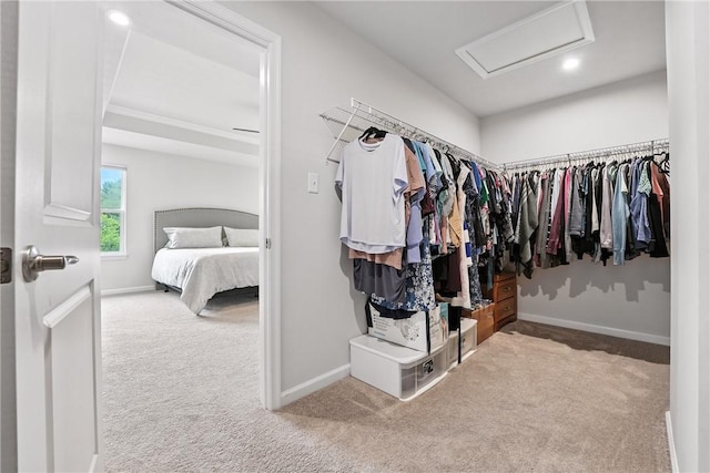 3049 Eagle Ridge Dr, Middlesex Twp, PA 16059 - spacious closet featuring carpet flooring and attic access