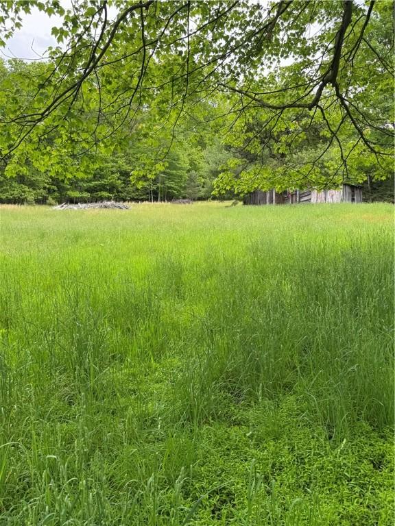1547 Rishell Rd, Canoe/Banks Twps, PA 15772 - photo 2