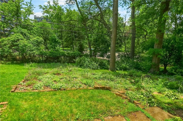 1117 Meadowlark Dr, Pittsburgh, PA 15243 - view of yard