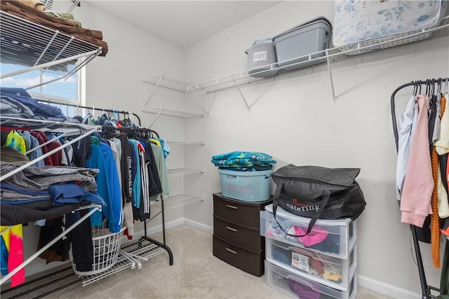 829 Frickwood Dr, South Park, PA 15129 - walk in closet with carpet flooring