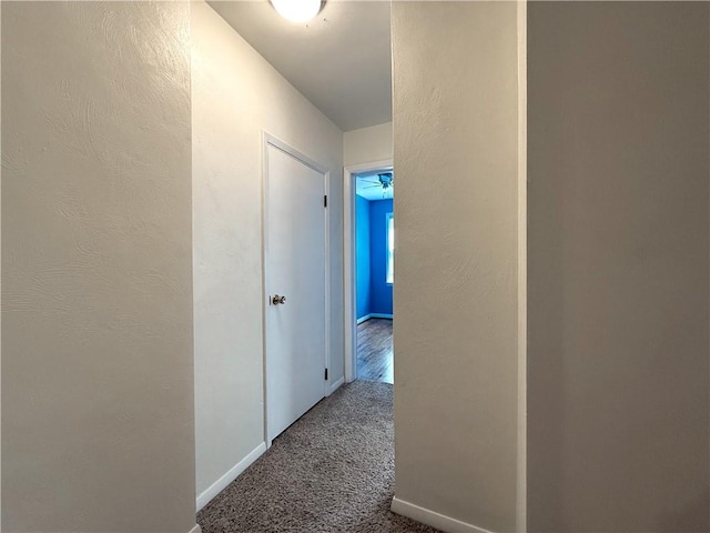 208 Beale Ave, Leechburg Boro, PA 15656 - corridor with baseboards and carpet flooring