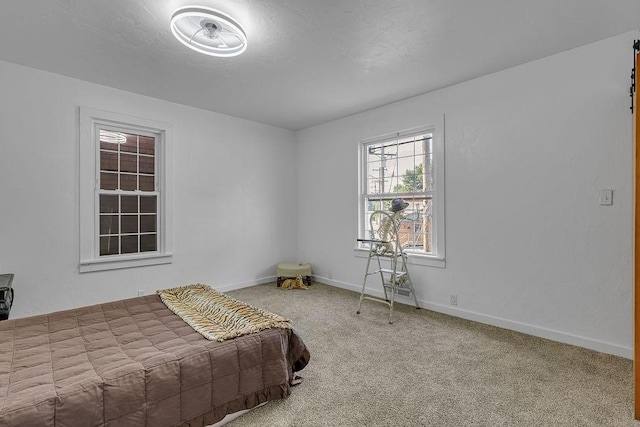 1104 Allegheny St, New Brighton, PA 15066 - bedroom featuring carpet flooring and baseboards