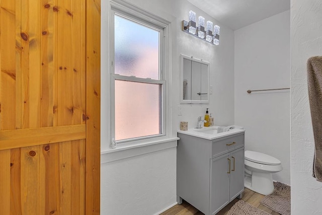 1104 Allegheny St, New Brighton, PA 15066 - bathroom featuring vanity, plenty of natural light, and wood finished floors