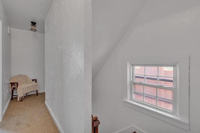 1104 Allegheny St, New Brighton, PA 15066 - additional living space with light carpet and lofted ceiling