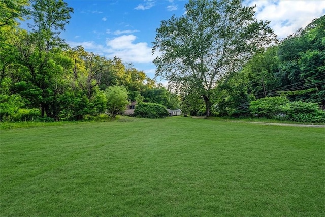 5028 W Smithfield St, Elizabeth Twp/Boro, PA 15135 - view of green lawn