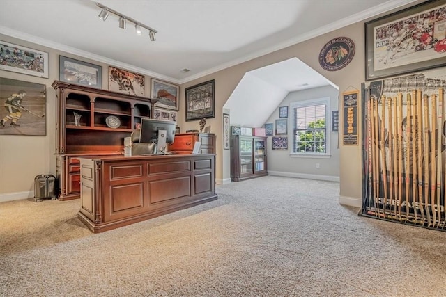 1303 Shinnecock Ct, Adams Twp, PA 16046 - office space featuring light colored carpet, ornamental molding, and track lighting