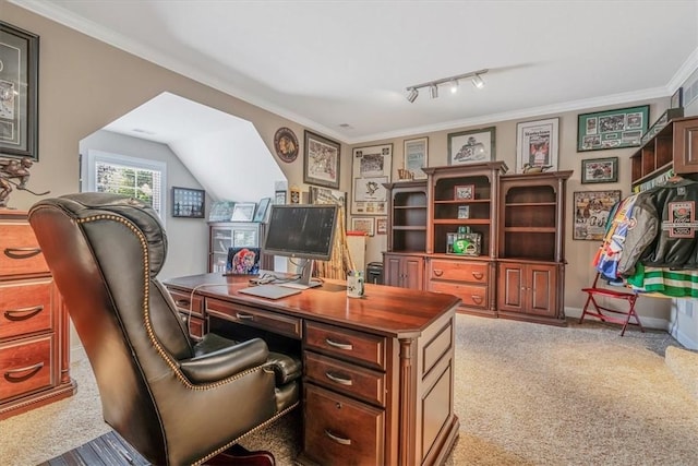 1303 Shinnecock Ct, Adams Twp, PA 16046 - carpeted office space with crown molding and track lighting
