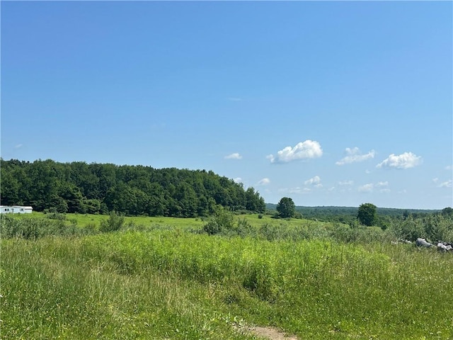 144 Barkey Hoffman, Irwin Twp, PA 16038 - view of nature with rural landscape