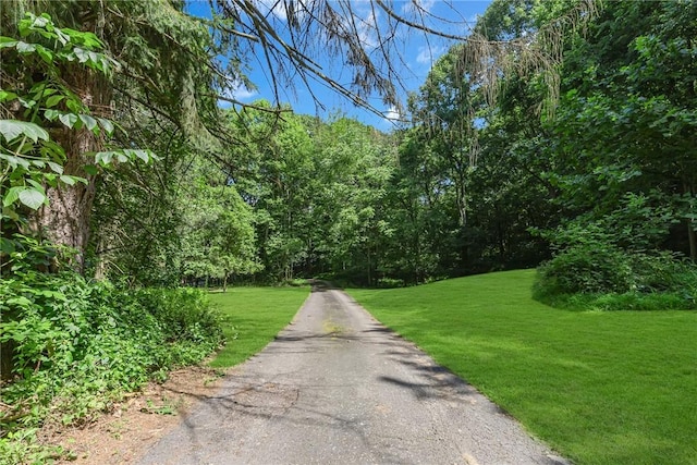 485 Frankfort Rd, Potter Twp, PA 15061 - photo 25