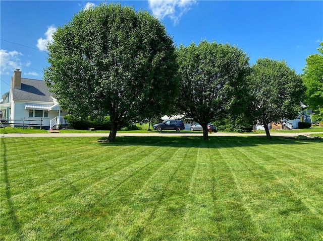 118 Delaware Ave, Scottdale, PA 15683 - view of green lawn