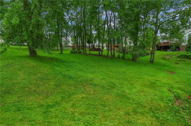216 Beagle Dr, Moon/Crescent Twp, PA 15108 - view of green lawn