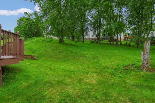 216 Beagle Dr, Moon/Crescent Twp, PA 15108 - view of green lawn