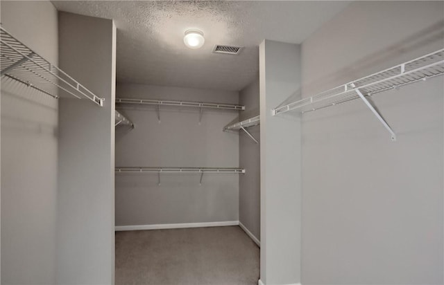 216 Beagle Dr, Moon/Crescent Twp, PA 15108 - walk in closet featuring carpet flooring