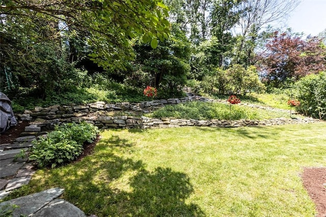 234 Orchard Dr, Mt Lebanon, PA 15228 - view of grassy yard
