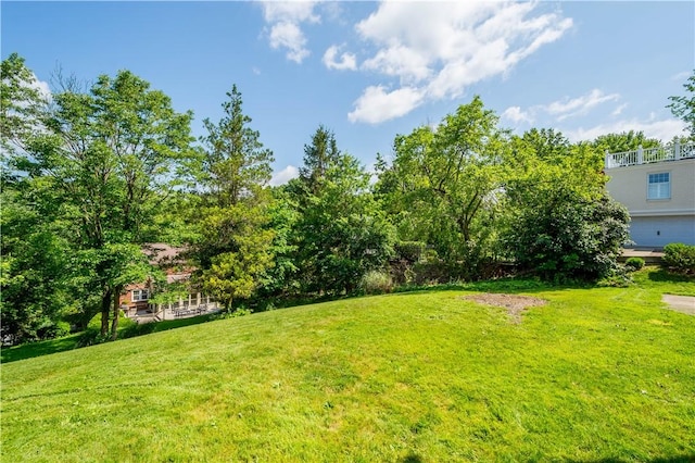 144 Warwick Dr, Saint Clair, PA 15241 - photo 42