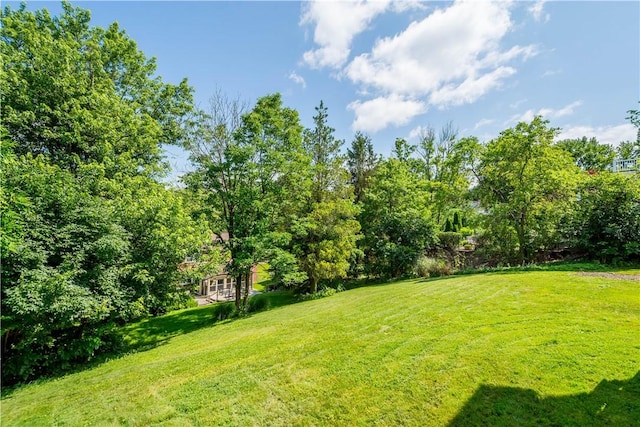 144 Warwick Dr, Saint Clair, PA 15241 - photo 43