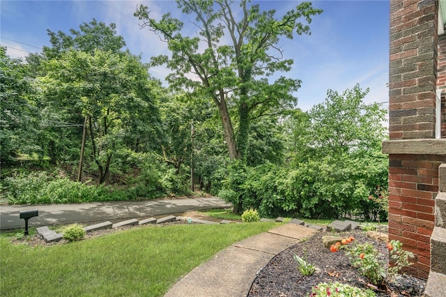 1809 Rosedale St, Verona, PA 15147 - view of green lawn
