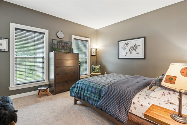 900 Thorn St, Sewickley, PA 15143 - bedroom featuring carpet flooring