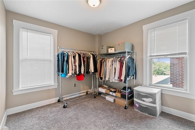 811 Bayridge Ave, Brookline, PA 15226 - spacious closet featuring carpet floors