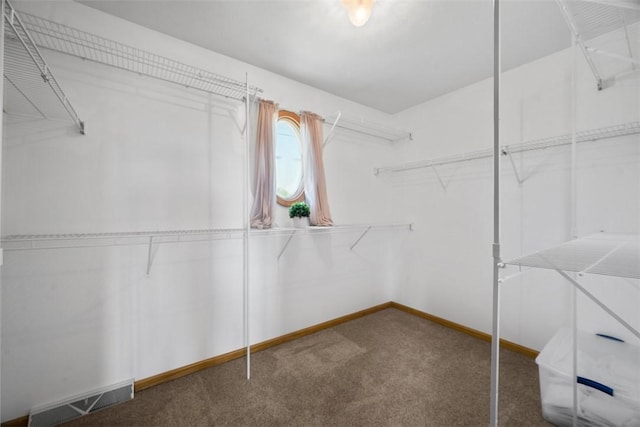 2812 Ridge Road Ext, Economy, PA 15005 - walk in closet featuring carpet flooring
