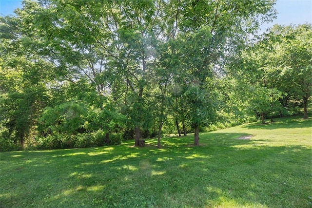2812 Ridge Road Ext, Economy, PA 15005 - view of grassy yard