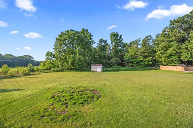 156 Riemer Rd, Buffalo Twp, PA 16055 - view of grassy yard featuring a storage shed