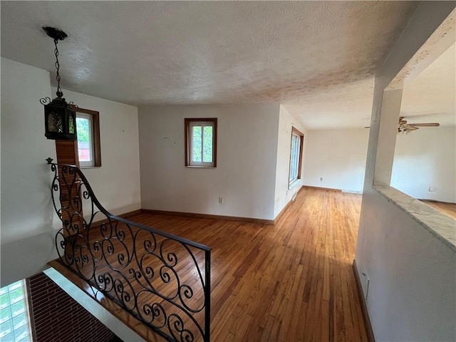 5601 Rodgers St, Lincoln Place, PA 15207 - photo 4
