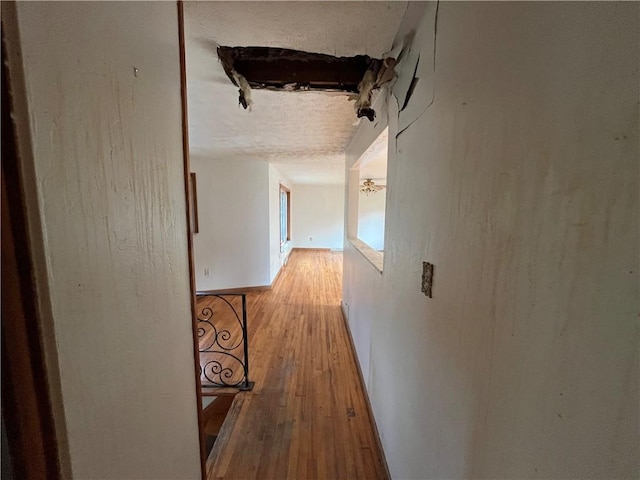 5601 Rodgers St, Lincoln Place, PA 15207 - photo 8