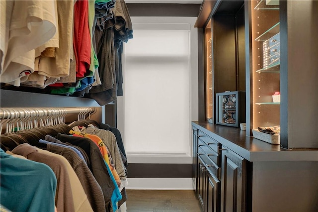 1817 Fox Way S, Side, PA 15203 - spacious closet with dark wood finished floors