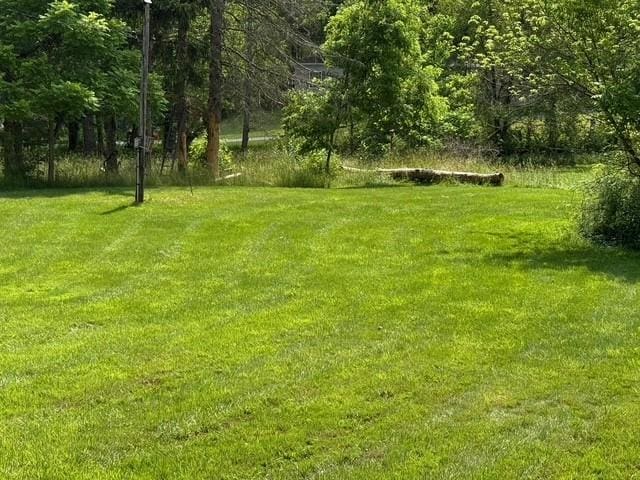 671 Listie Rd, Somerset Twp, PA 15549 - photo 10