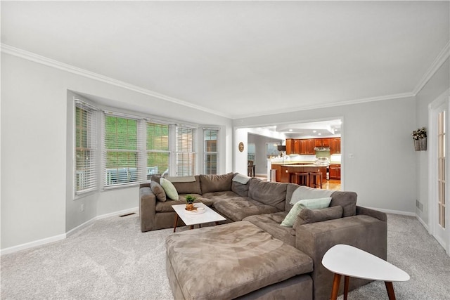 3001 Willowbrook Dr, South Fayette, PA 15017 - living room featuring crown molding and light colored carpet