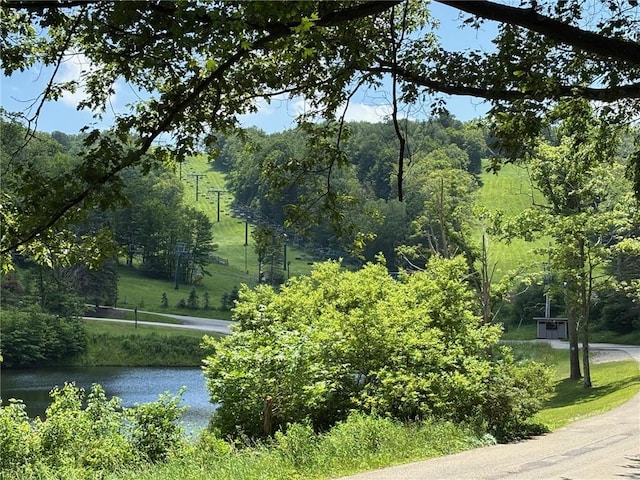 13 Lakeview Dr, Hidden Valley, PA 15502 - view of community featuring a water view