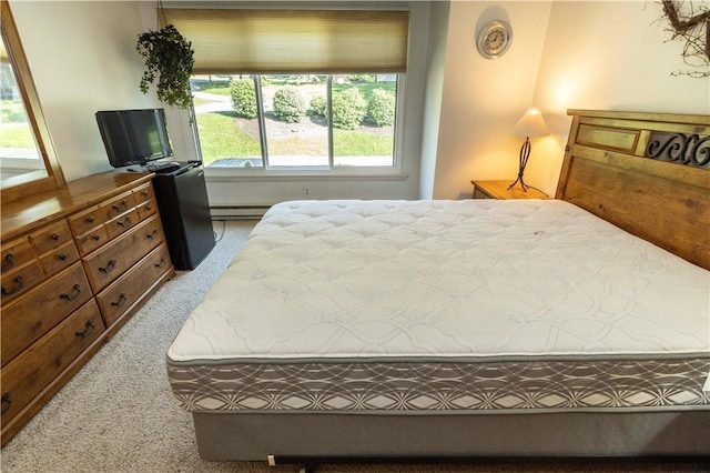 13 Lakeview Dr, Hidden Valley, PA 15502 - bedroom with carpet floors and a baseboard radiator