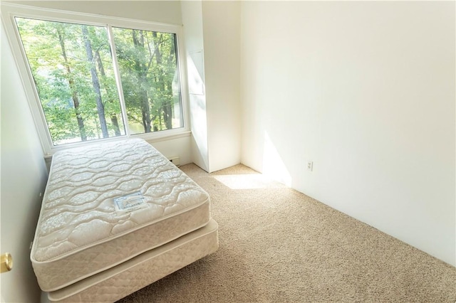 13 Lakeview Dr, Hidden Valley, PA 15502 - bedroom with carpet