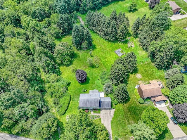 1709 Magee Rd, Sewickley, PA 15143 - photo 30