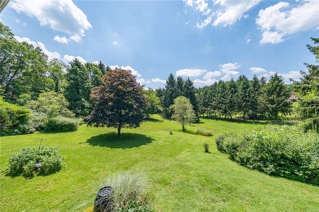 1709 Magee Rd, Sewickley, PA 15143 - photo 29