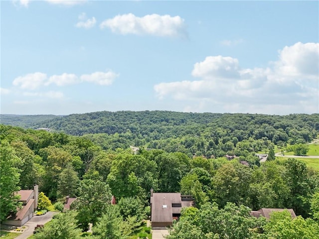 2044 Lake Marshall Dr, Mccandless, PA 15044 - photo 48