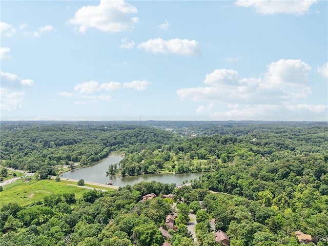 2044 Lake Marshall Dr, Mccandless, PA 15044 - photo 49