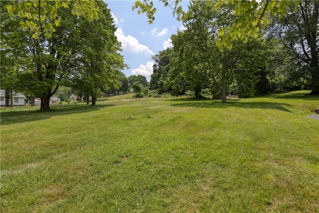 267 Blackhawk Rd, Chippewa Twp, PA 15010 - view of green lawn