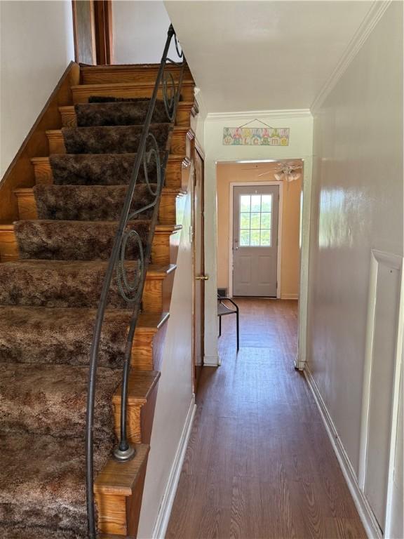 1728 Iowa Ave, West Mifflin, PA 15122 - photo 14