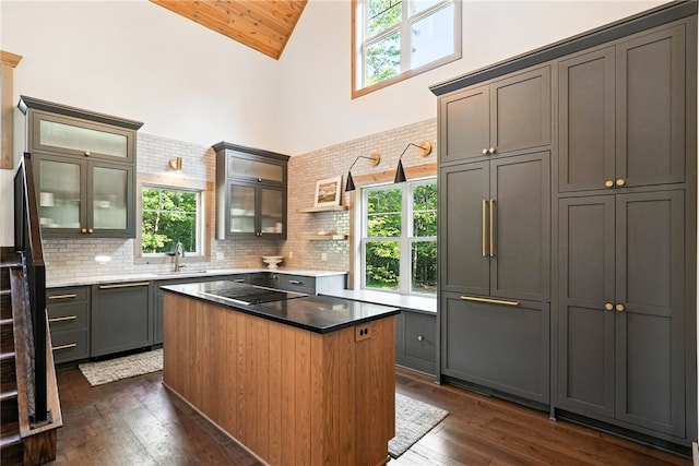 50 Hawes Rd, Wharton Twp, PA 15437 - kitchen featuring high vaulted ceiling, healthy amount of natural light, black electric cooktop, paneled built in fridge, and dark wood-style flooring