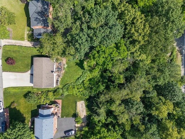 773 Somerville Dr, Saint Clair, PA 15243 - aerial view of property and surrounding area