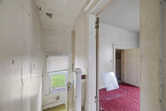 11839 Crockett St, North Huntingdon, PA 15647 - view of unfurnished bedroom